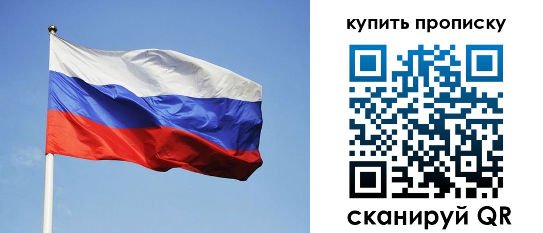 временная регистрация гарантия в Светлогорске